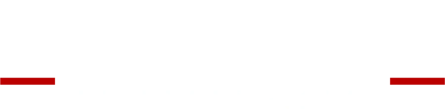 Black Dog Christmas Lights logo.